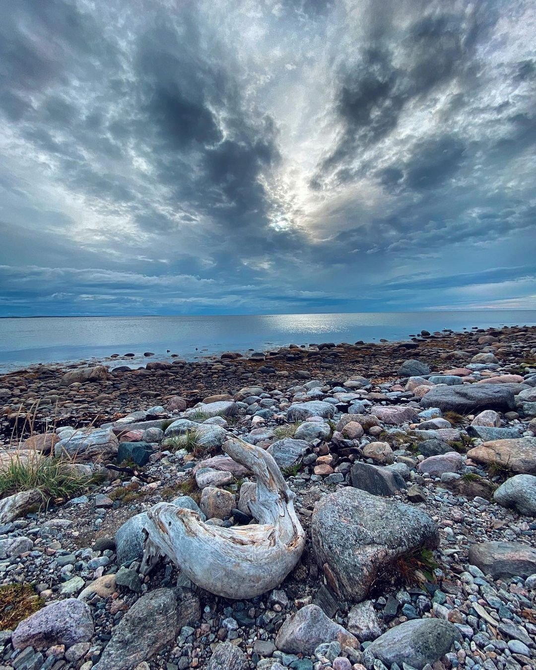 Северное белое море