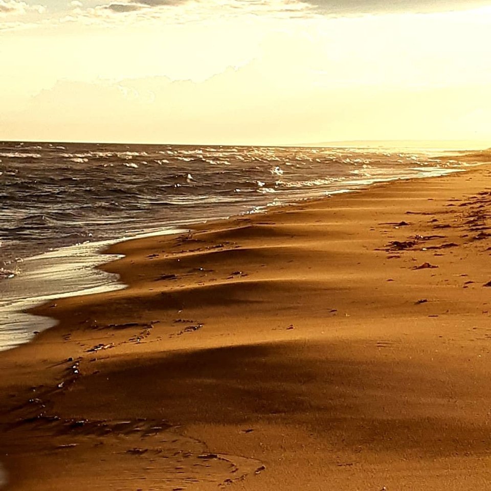 Александрия море дюны