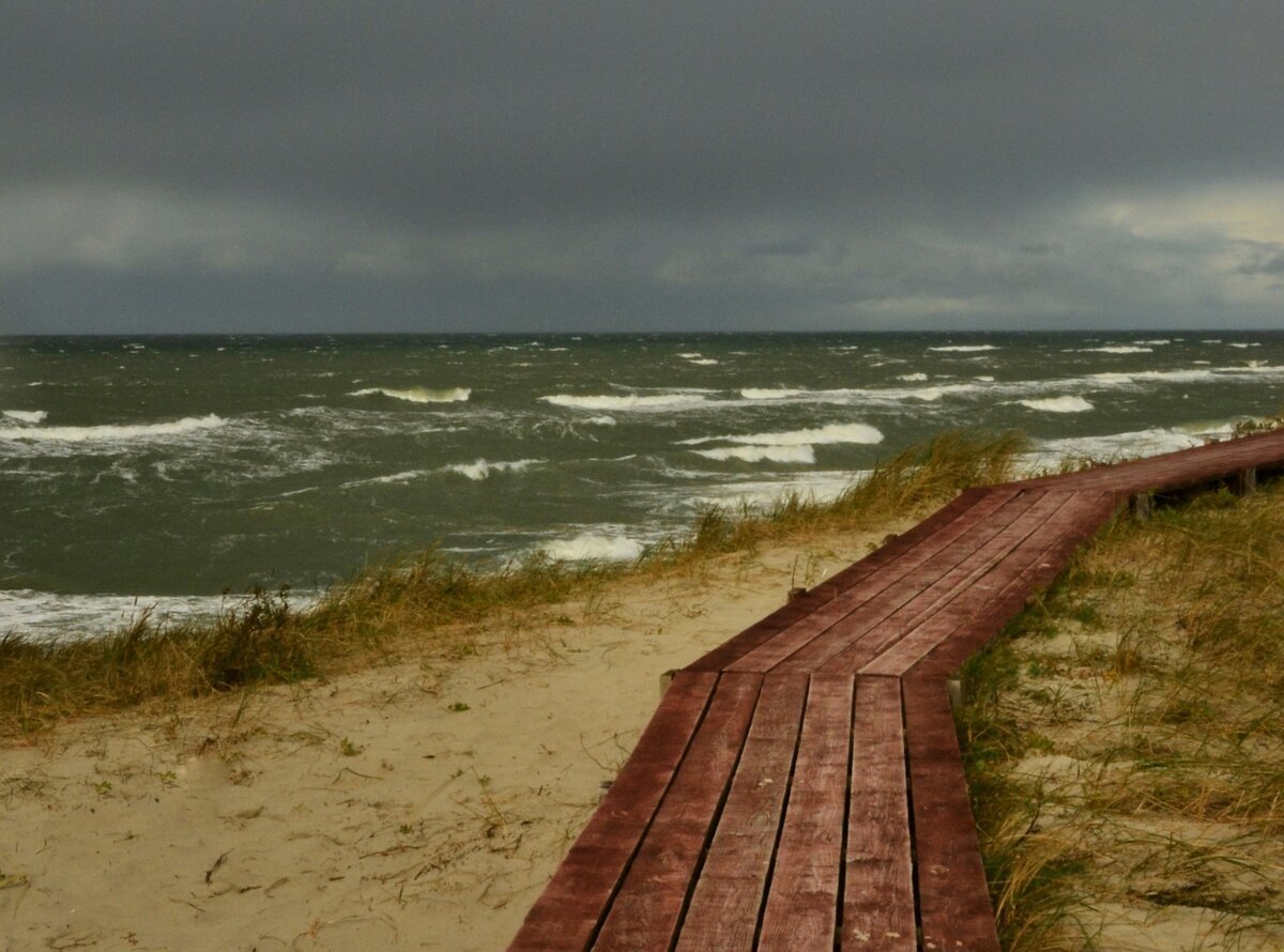 Балтийское море Куршская коса