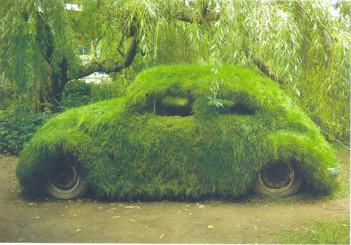 Заросшая машина