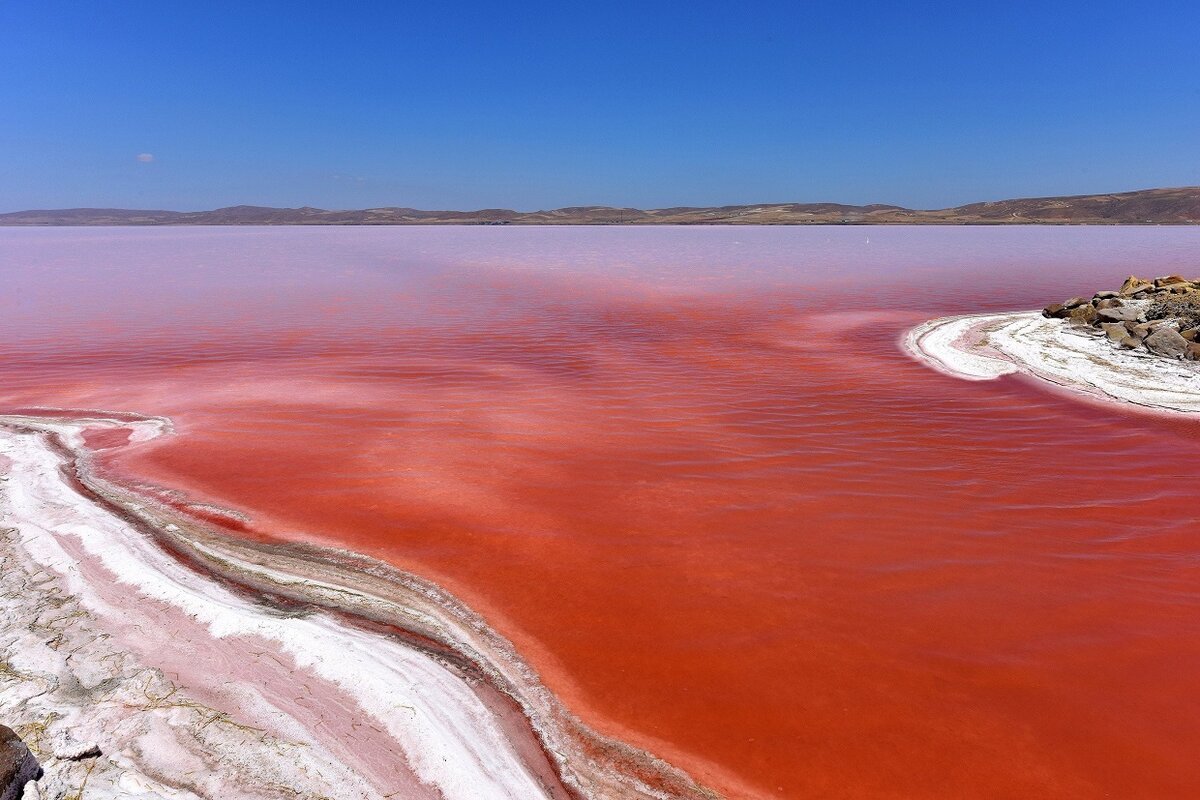 Dunaliella Salina озеро