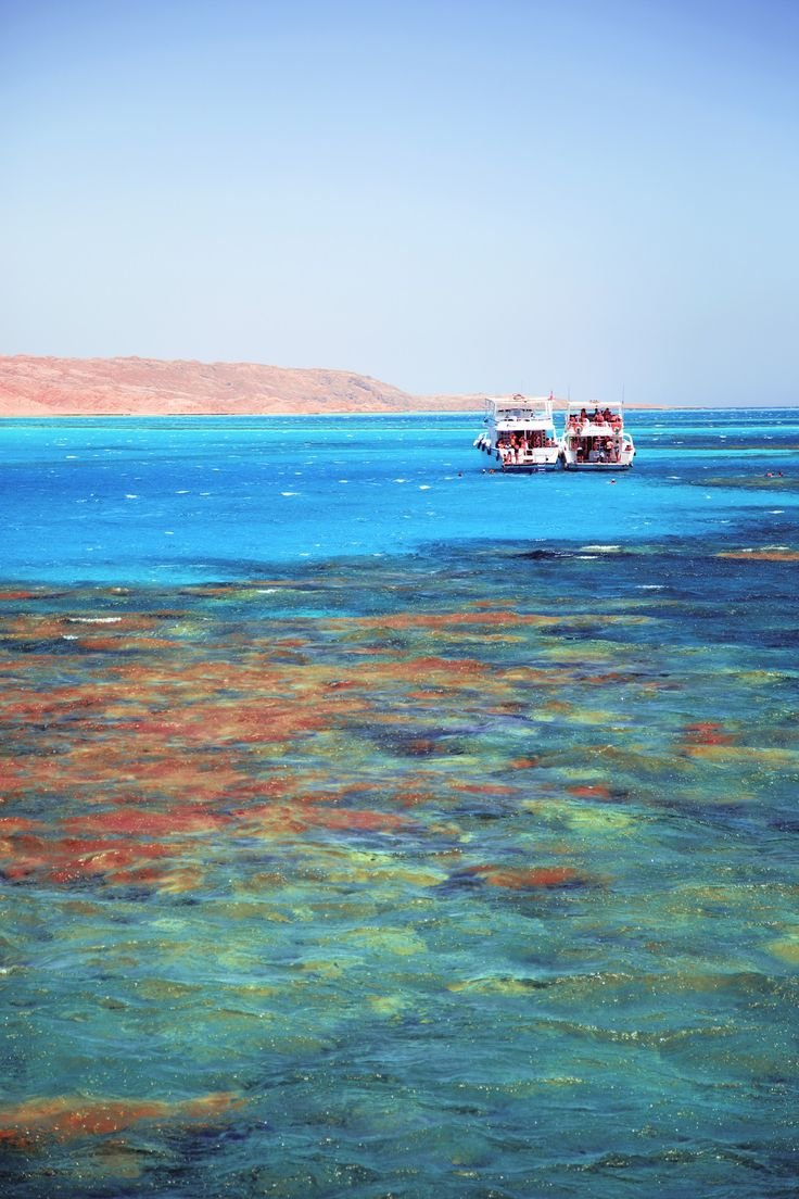 Красное море Египет