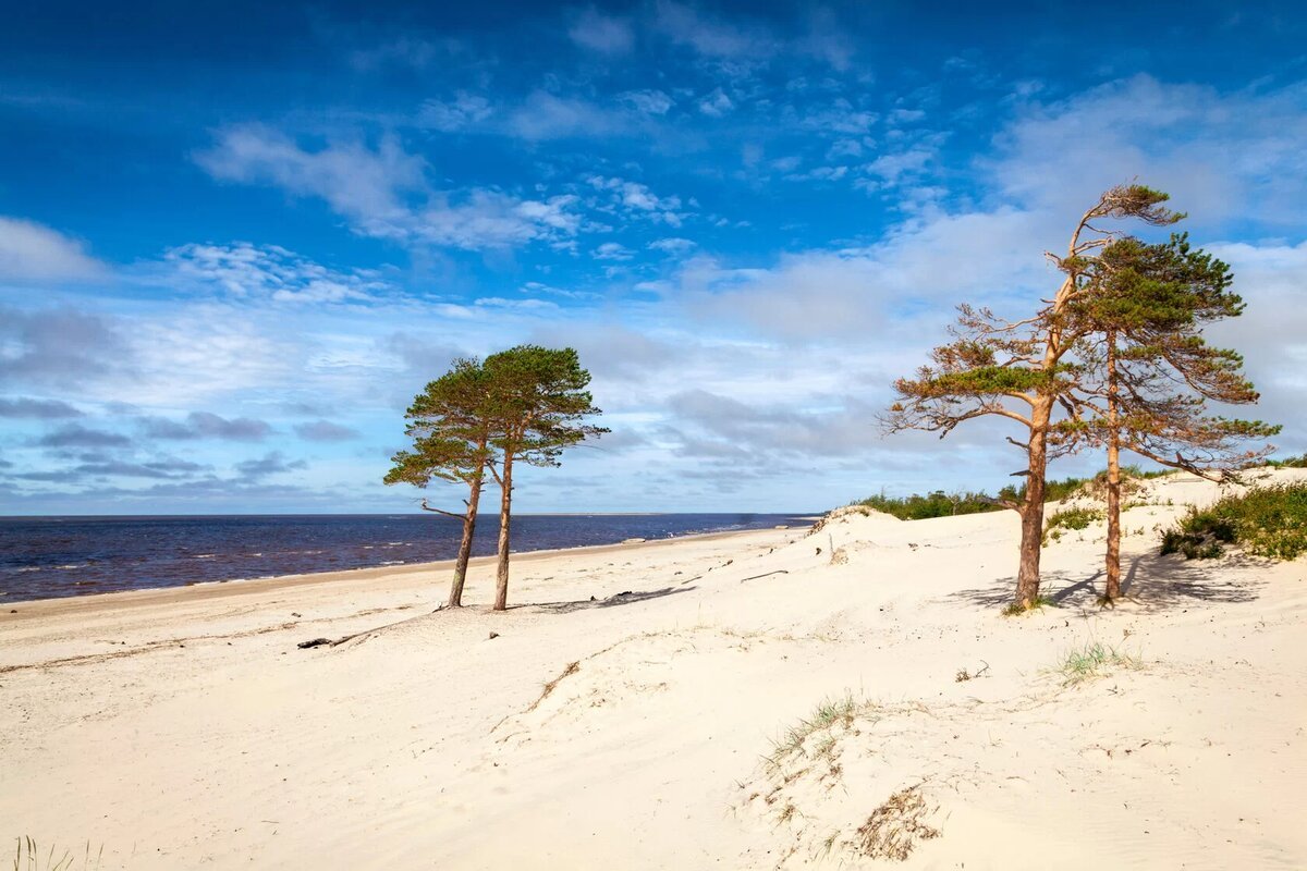 Ягринский пляж белое море