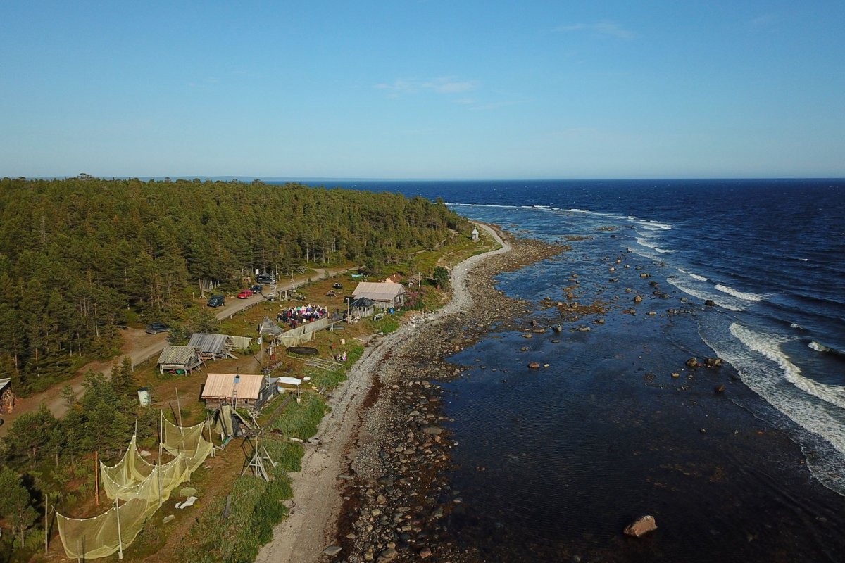 Терский берег (Умба) белое море