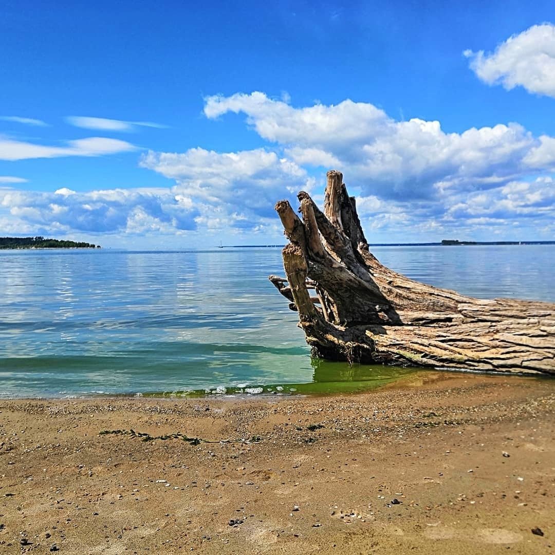 Обское море