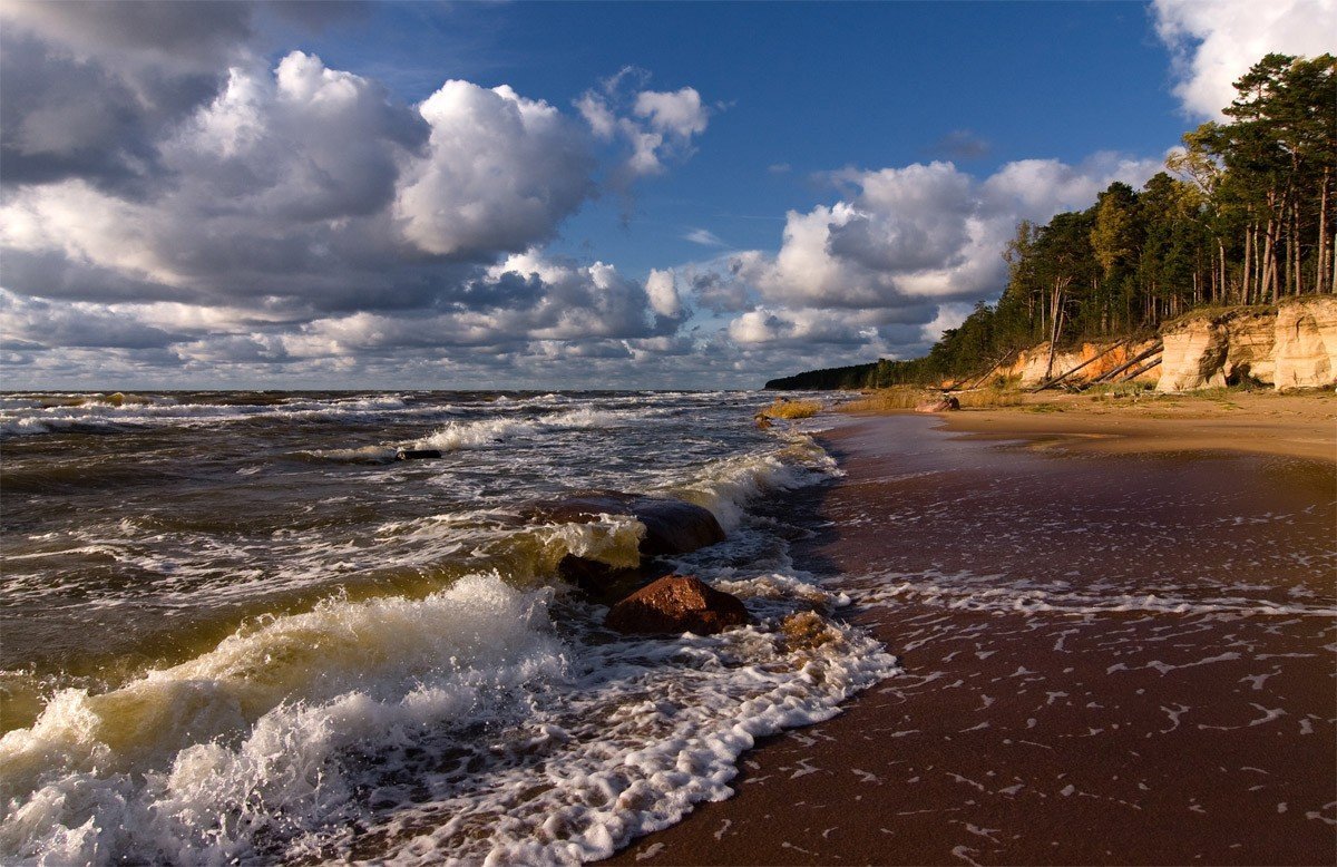 Ботанический залив балтийское море