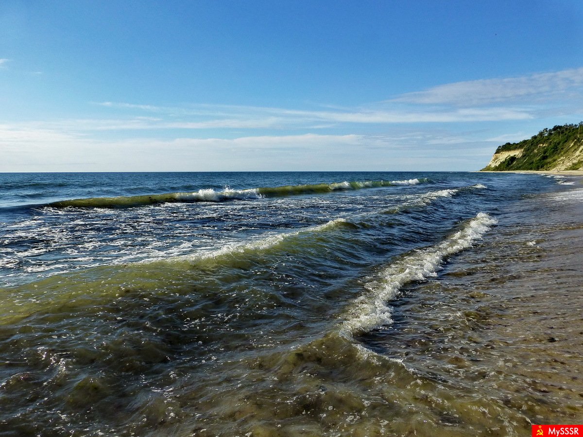 Ботанический залив балтийское море