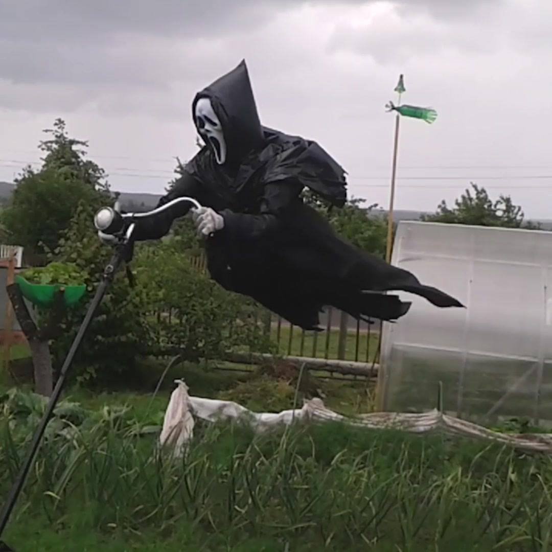 Огородное чучело дементор