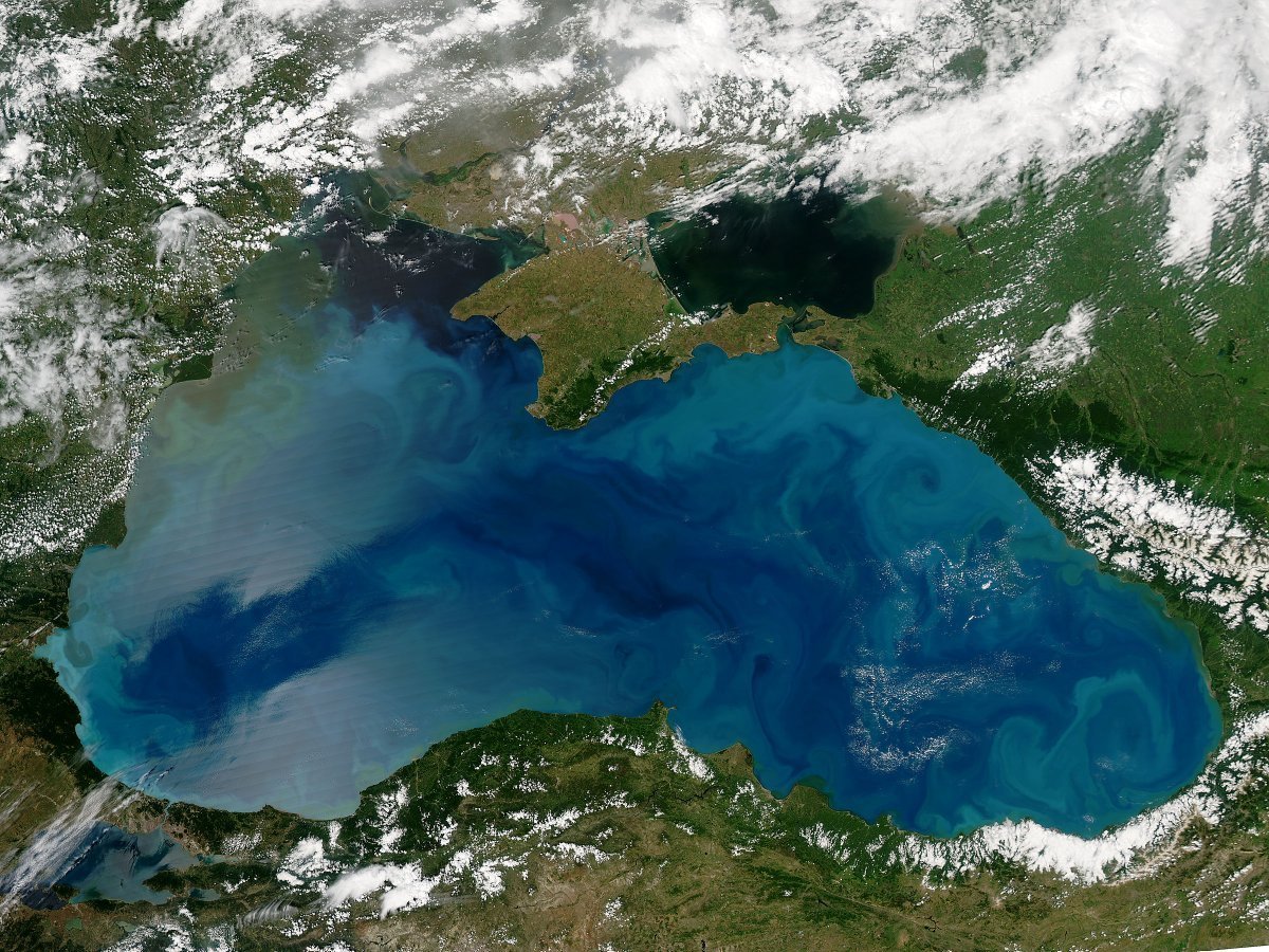 Цветущее черное море