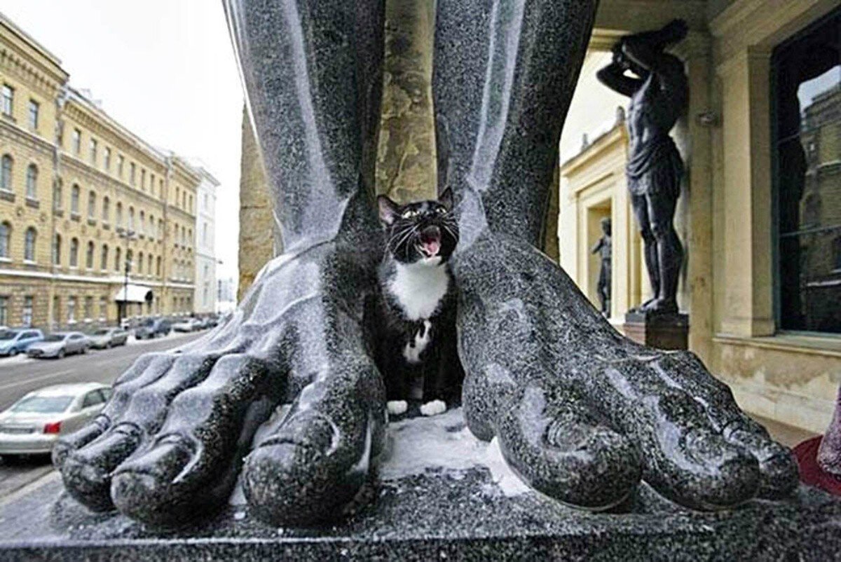 Петербургские коты Эрмитажа