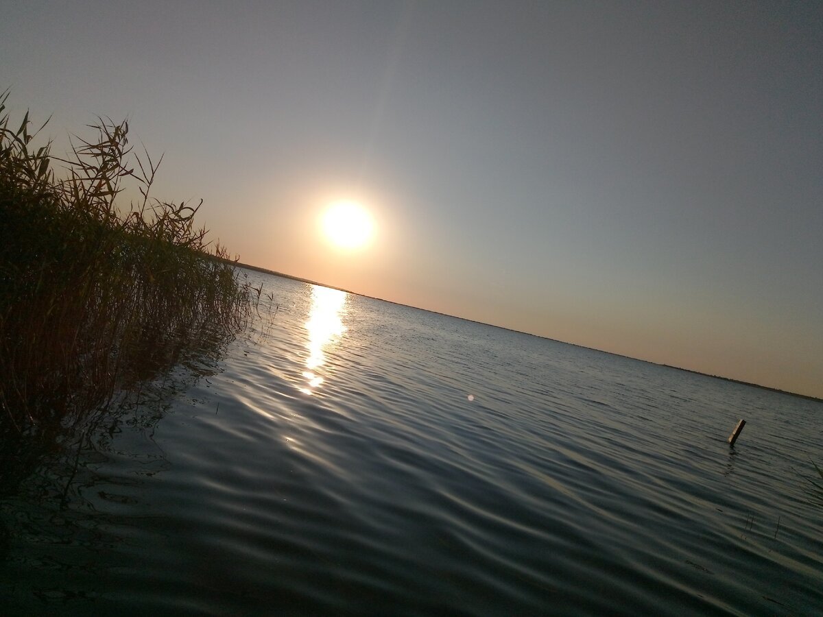 Динской залив азовского моря