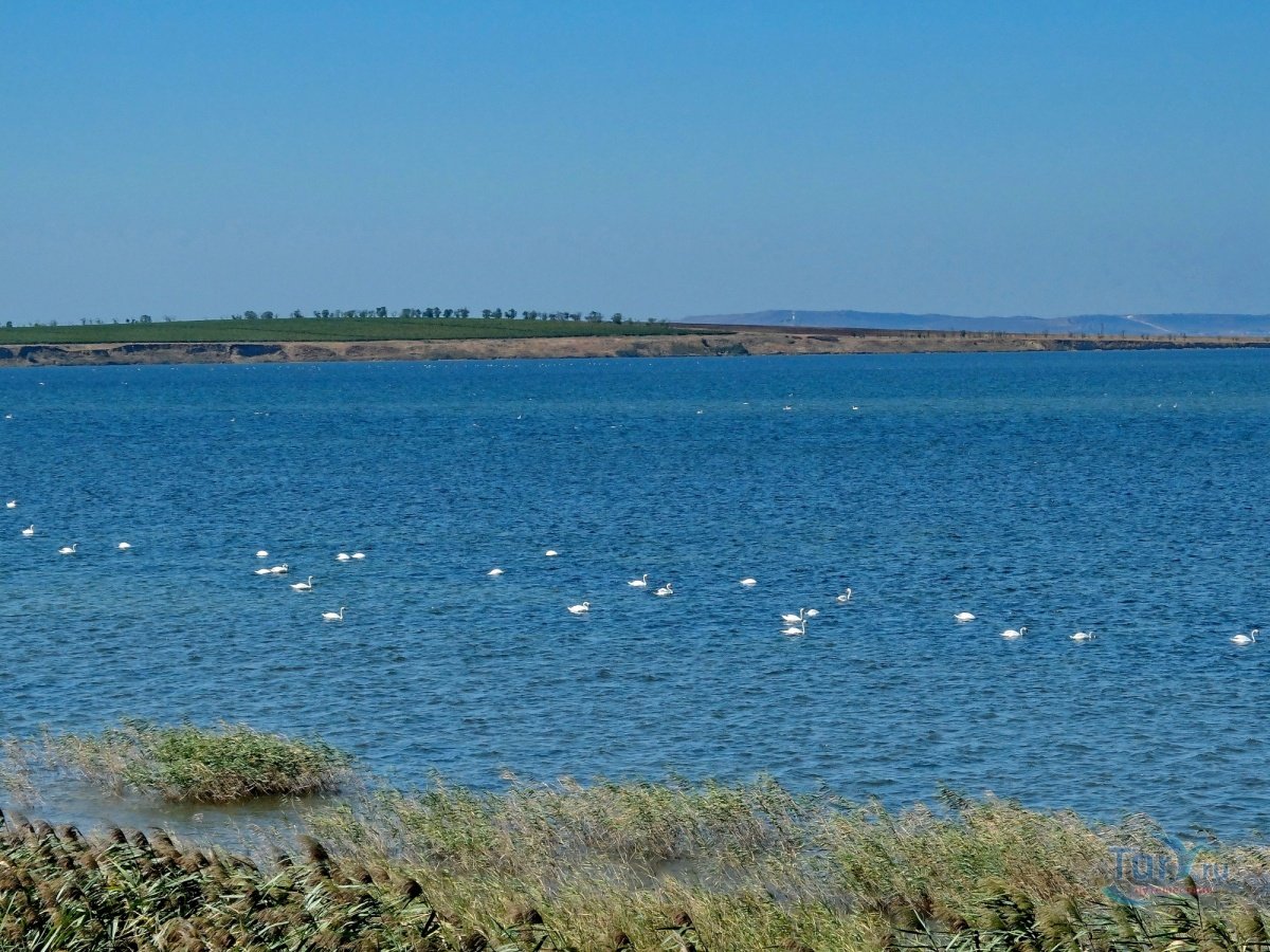Динской залив черного моря