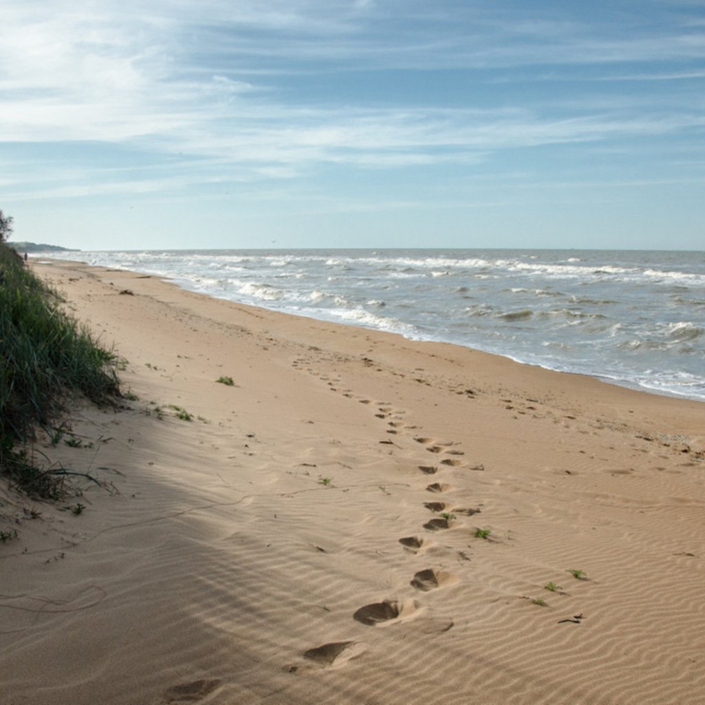 Азовское море песчаные пляжи