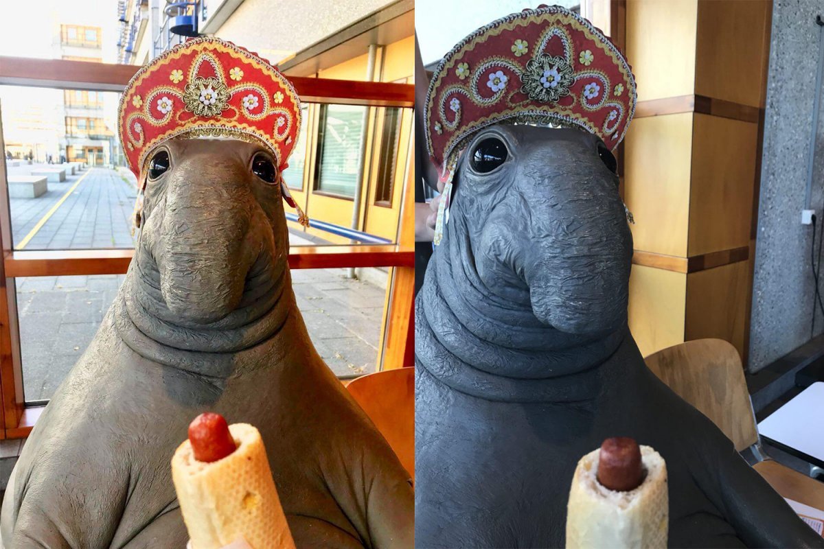 Красивый Ждун девочка