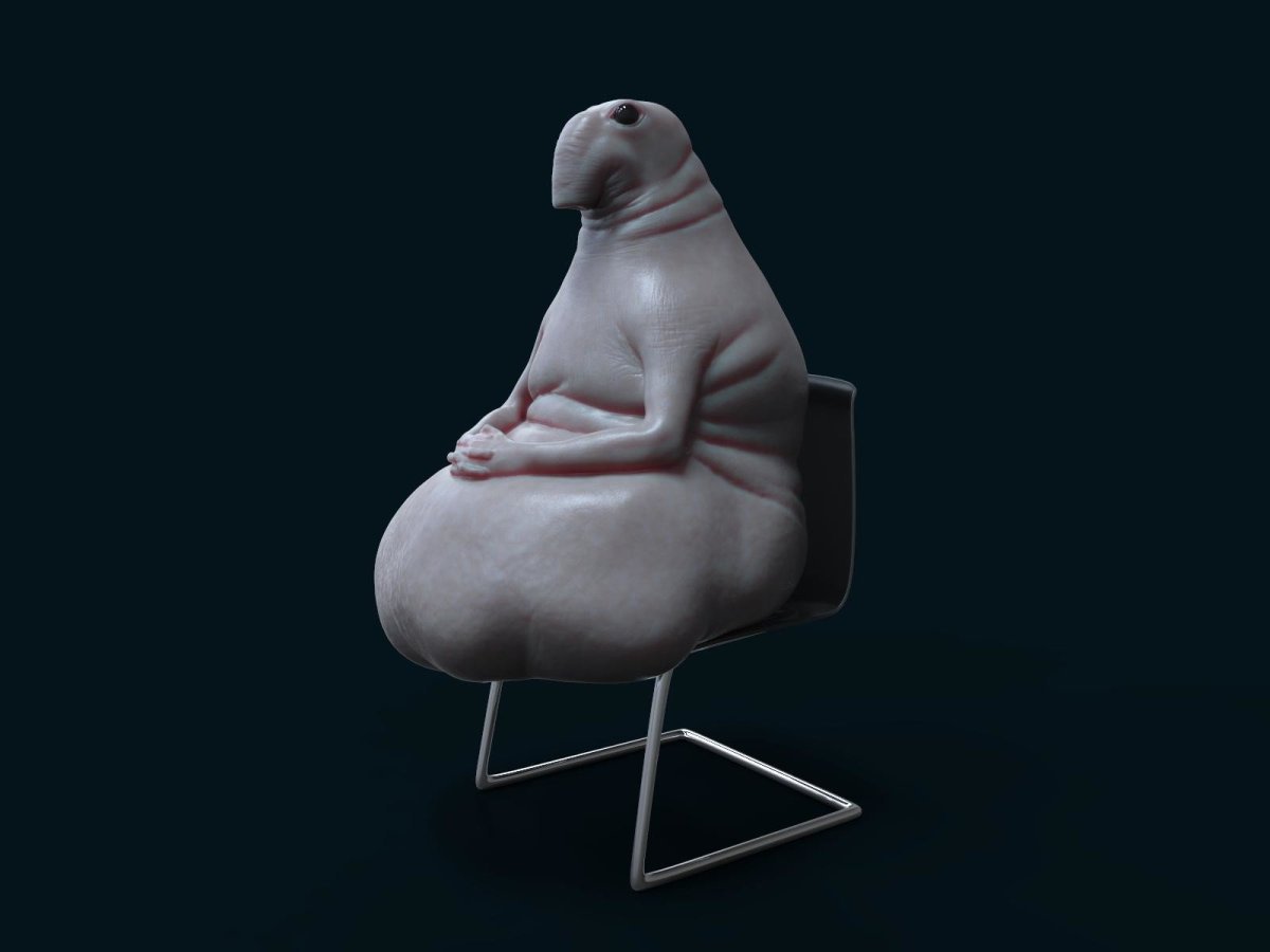 Homunculus Loxodontus