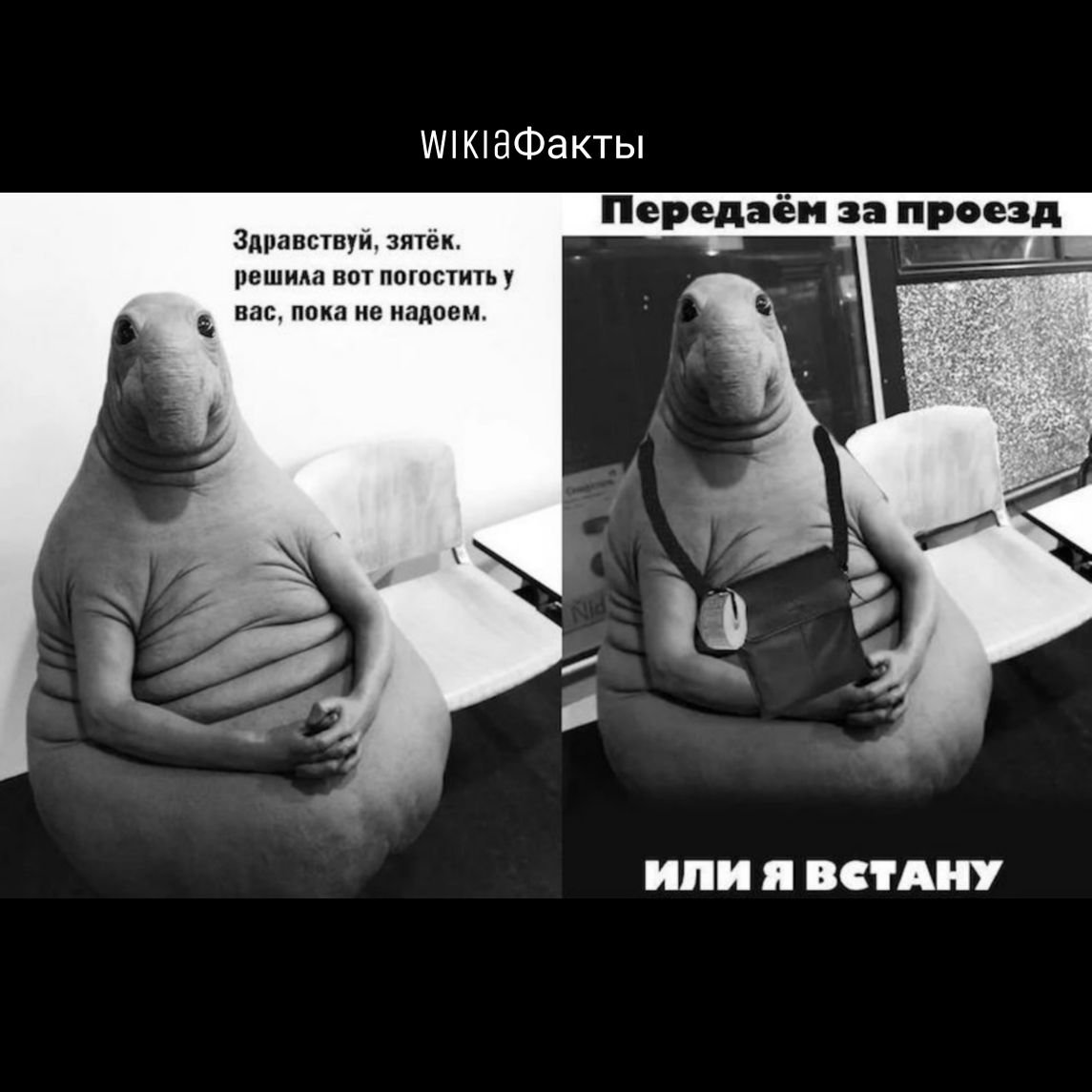 Ждун плачет