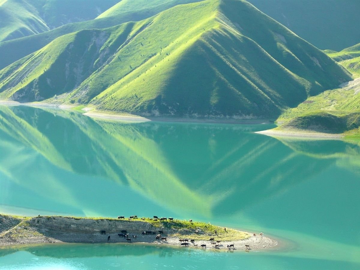 Андийское море