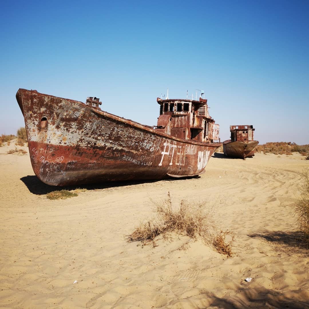 Аральское море Оазис