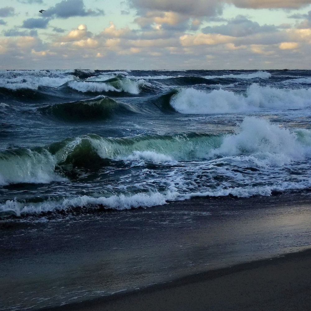 Волны балтийского моря