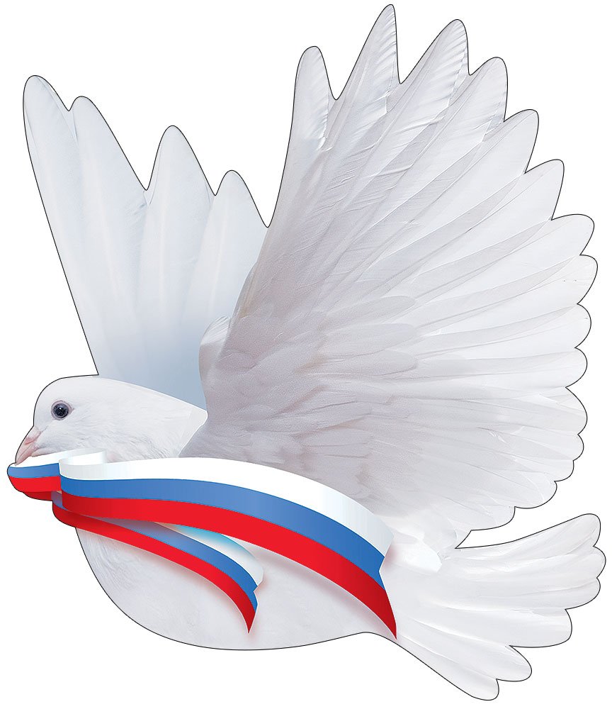 Голубь с ленточкой