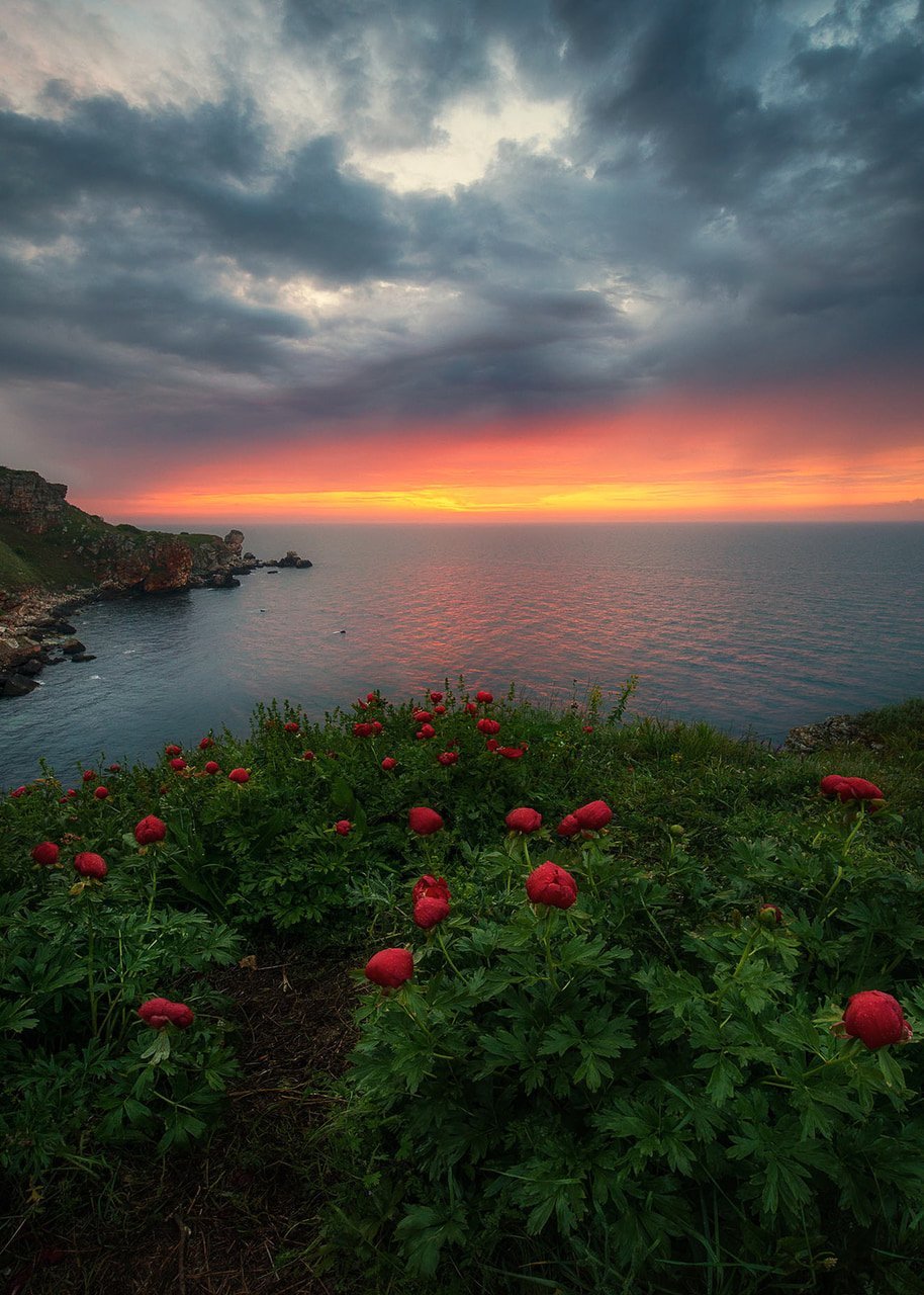 Болгария природа Волпейпер