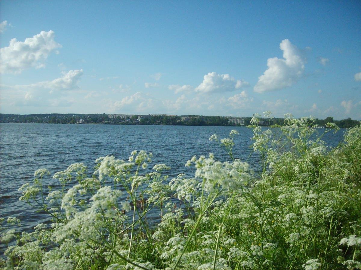 Омутнинск Фрегат