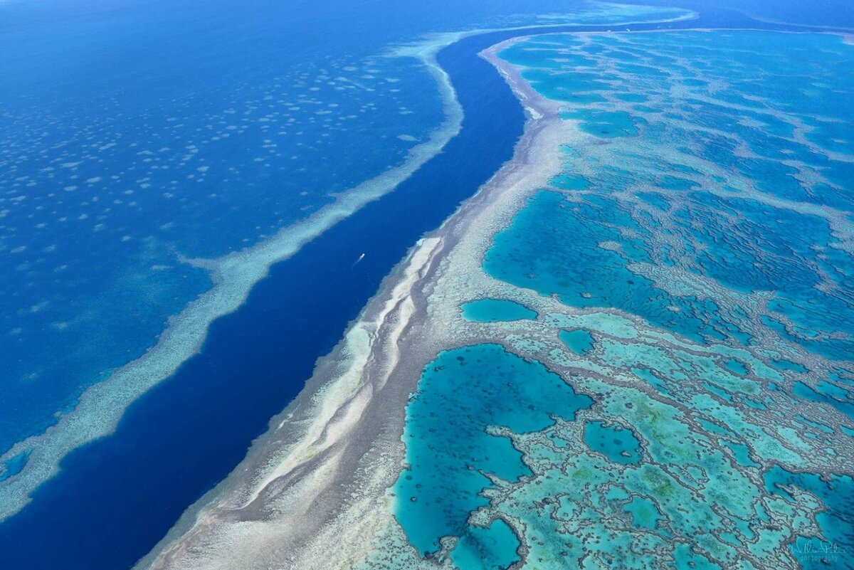 Самое большое море земли