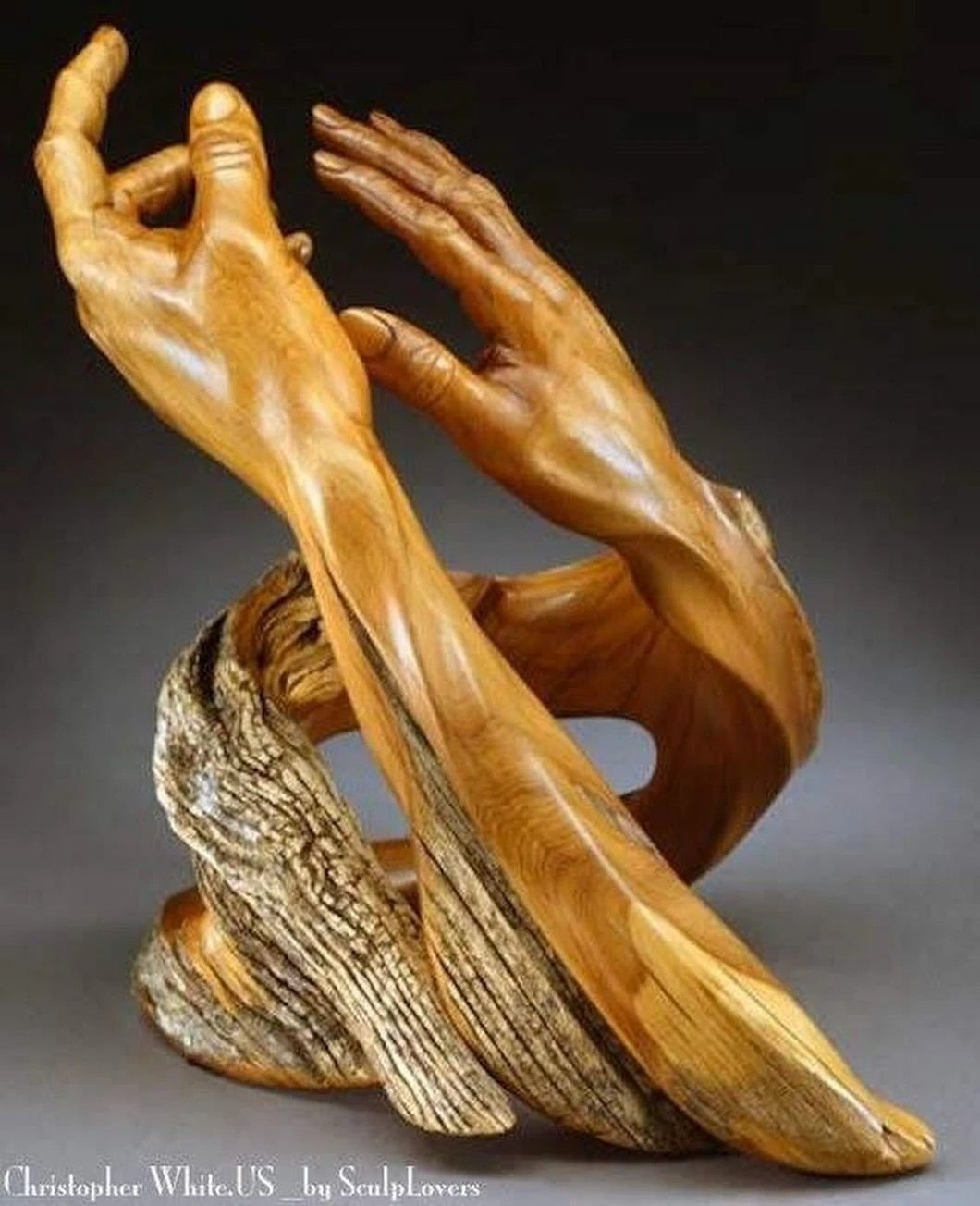 Корнепластика. Скульптор j Christopher White