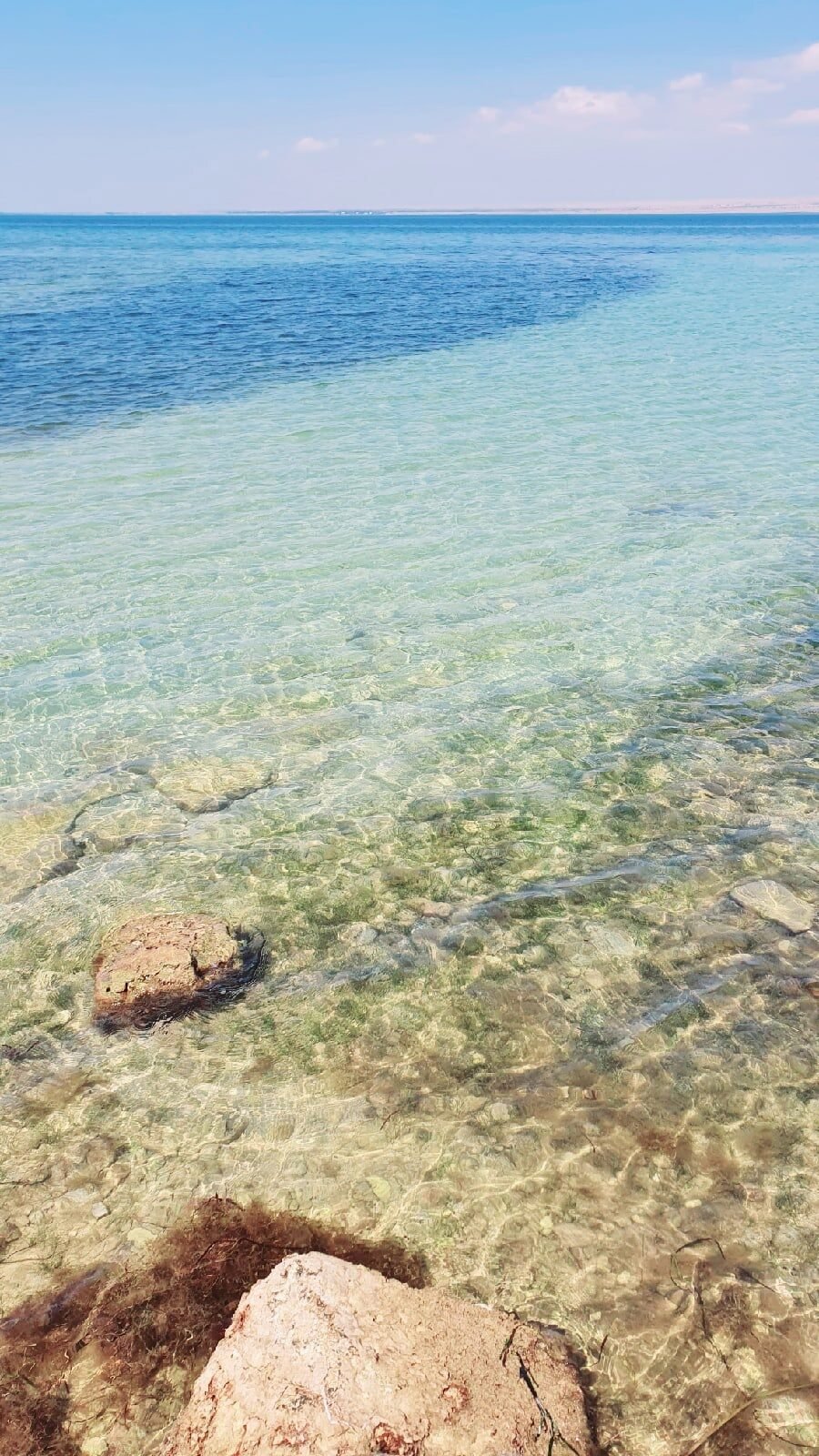 Залив донузлав на черном море