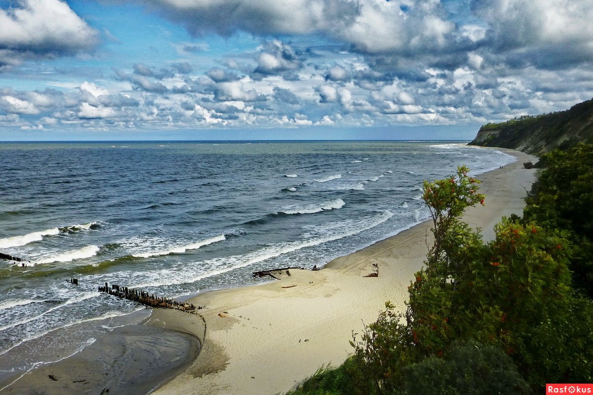 Берег Балтийского моря в Калининграде