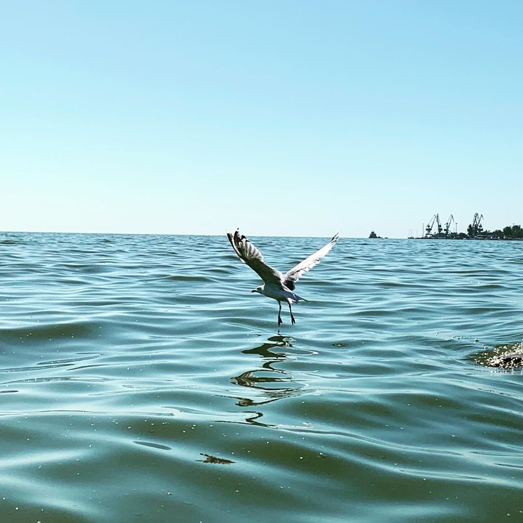 Азовское море город Таганрог