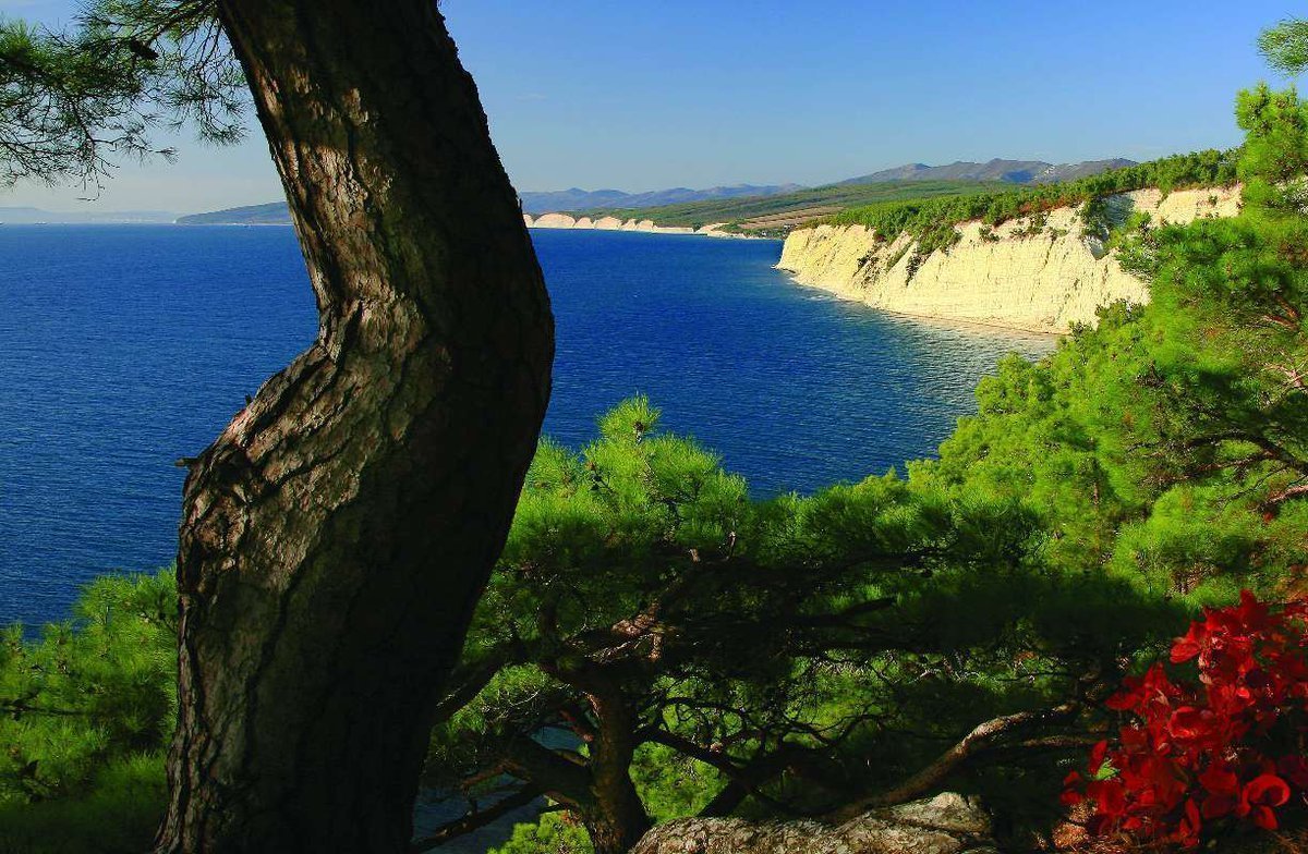 Черное море Краснодарский край