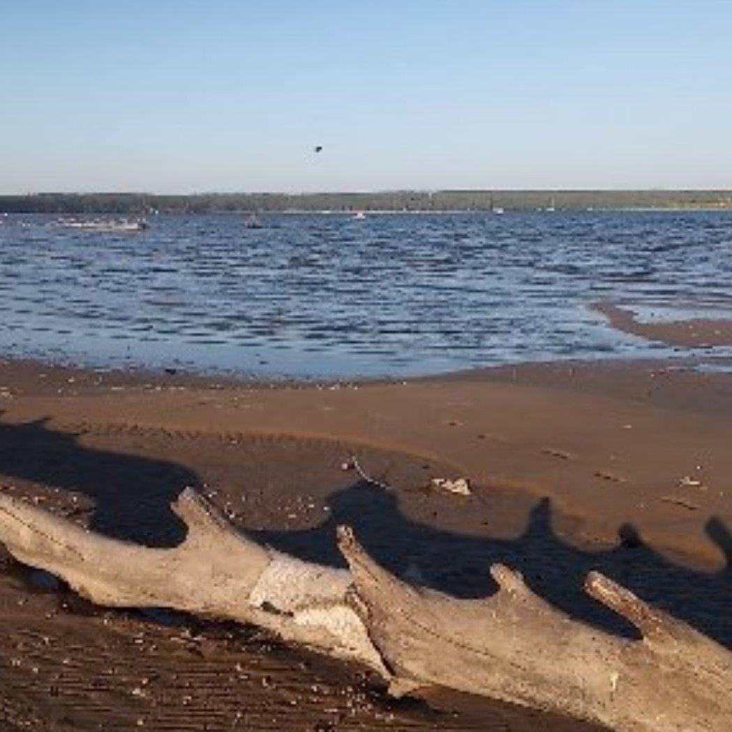 Обское море в начале мая картинки 2021