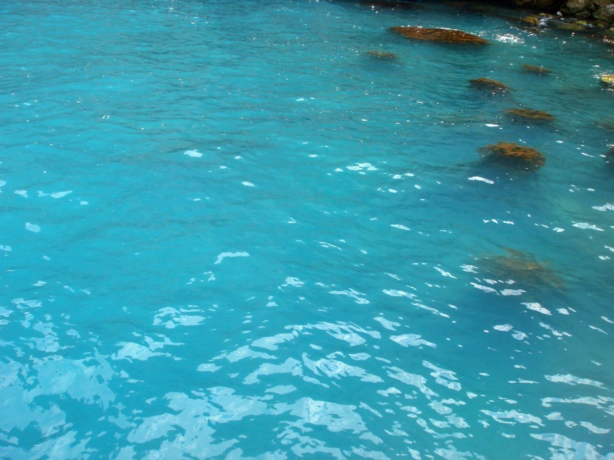 Черное море вода
