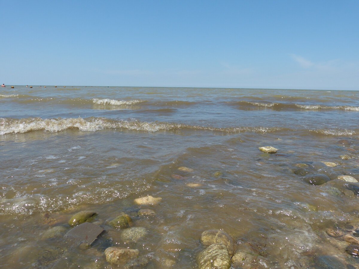 Азовское море прозрачность
