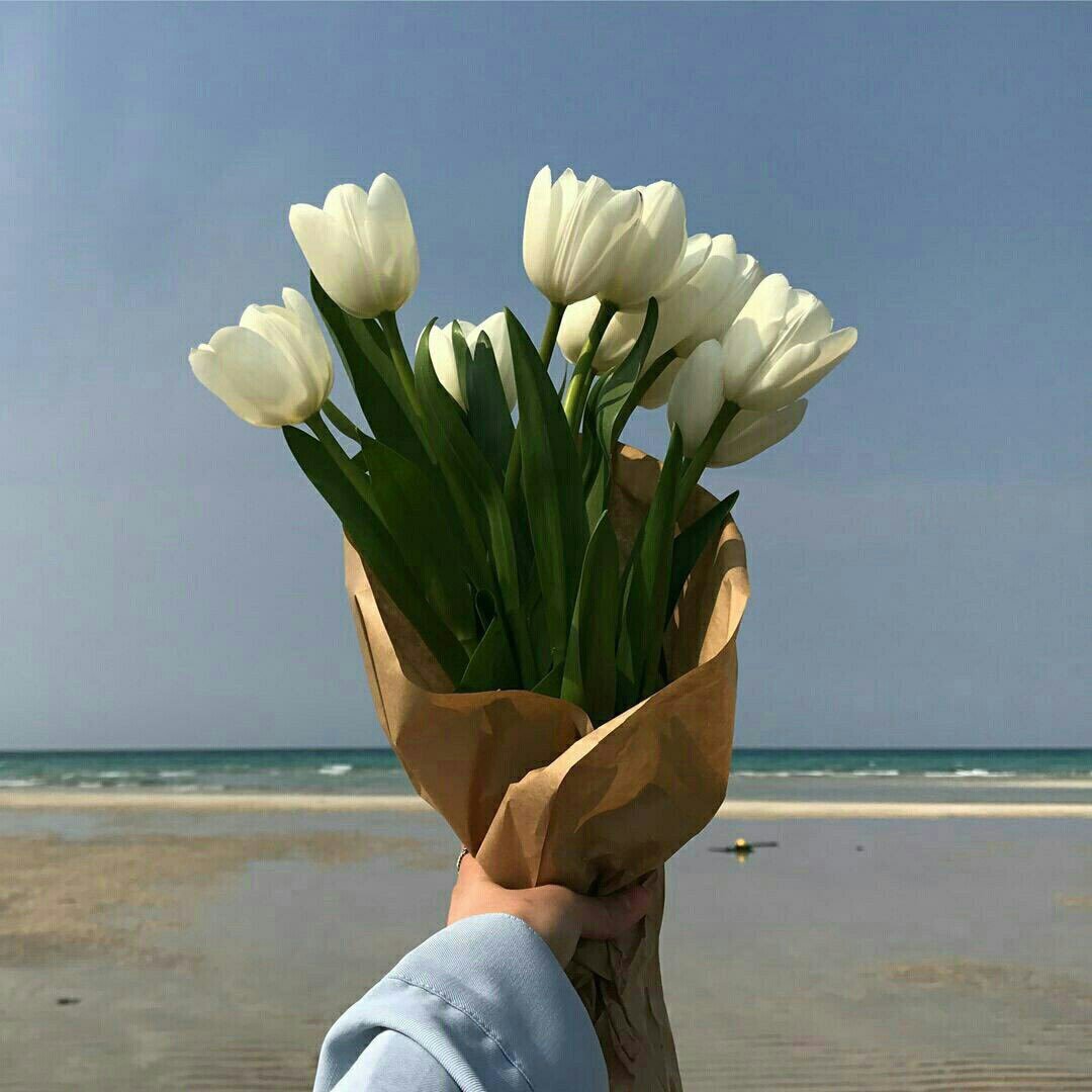 Море тюльпанов букет