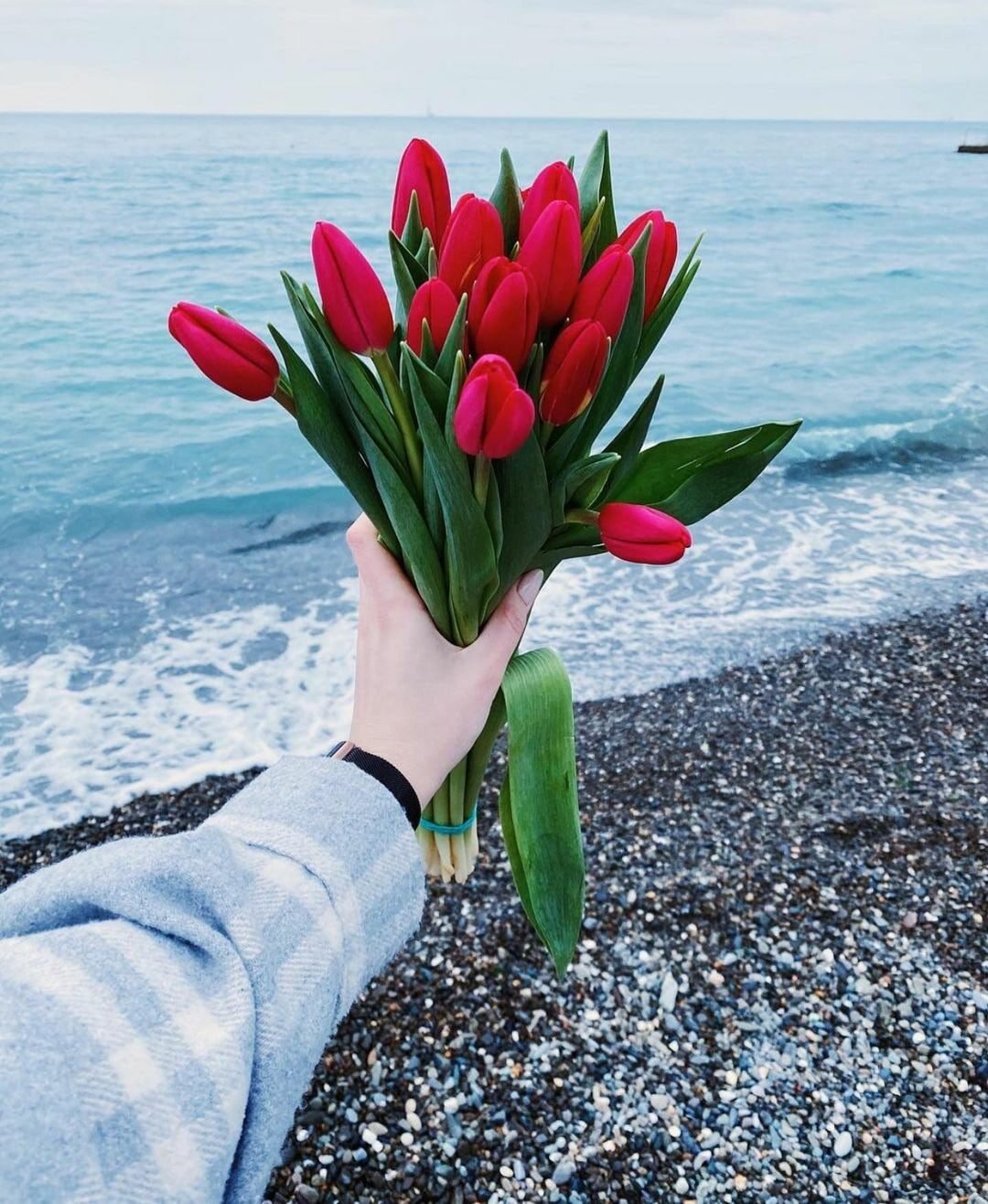 Море тюльпанов