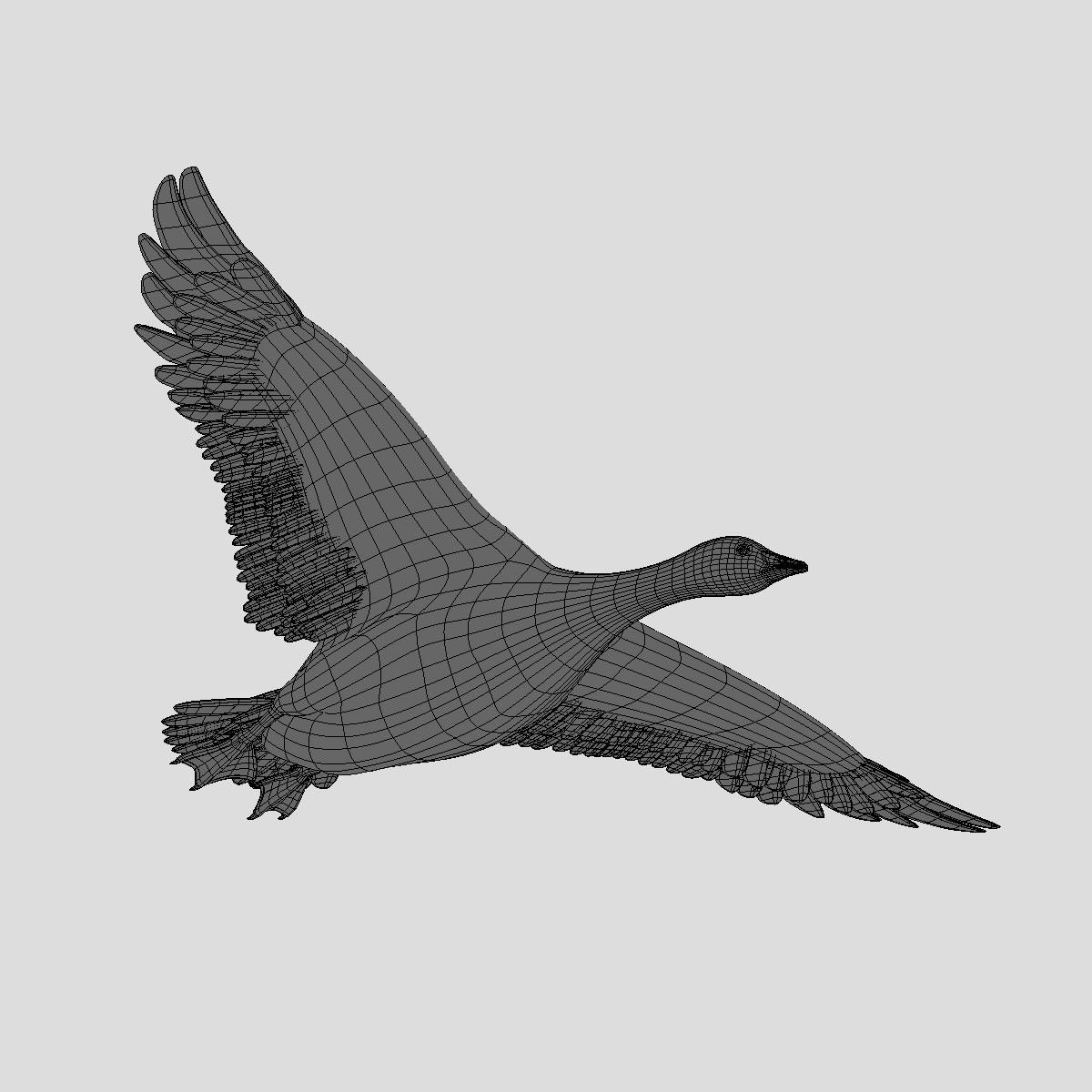 Индейки анимация 3d model
