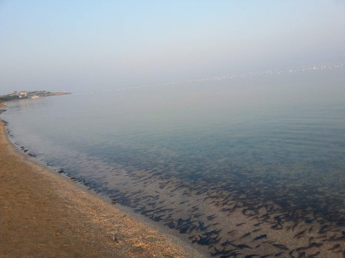 Крым вода Азов море