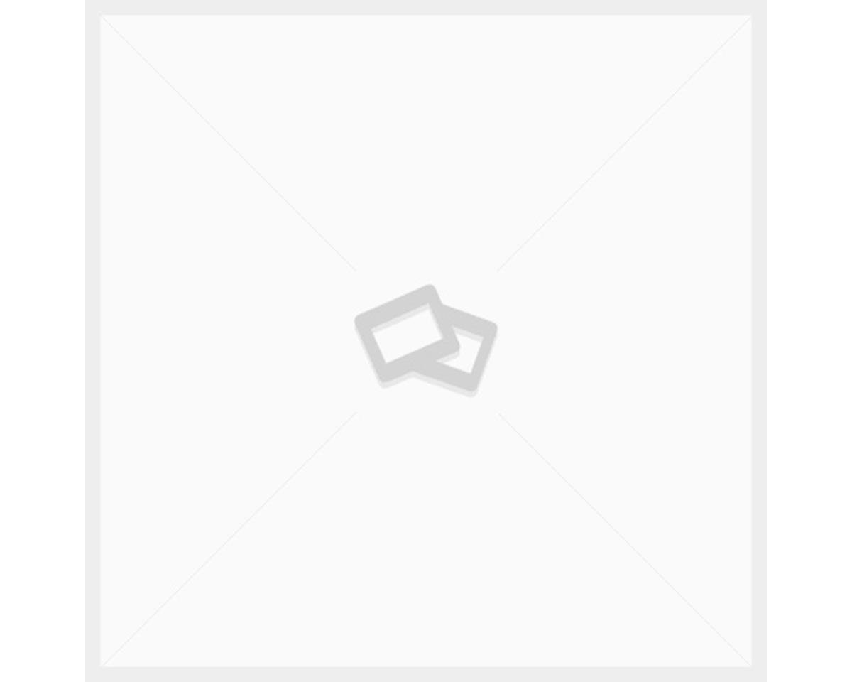 Nn-df383bzpe (инверторная)