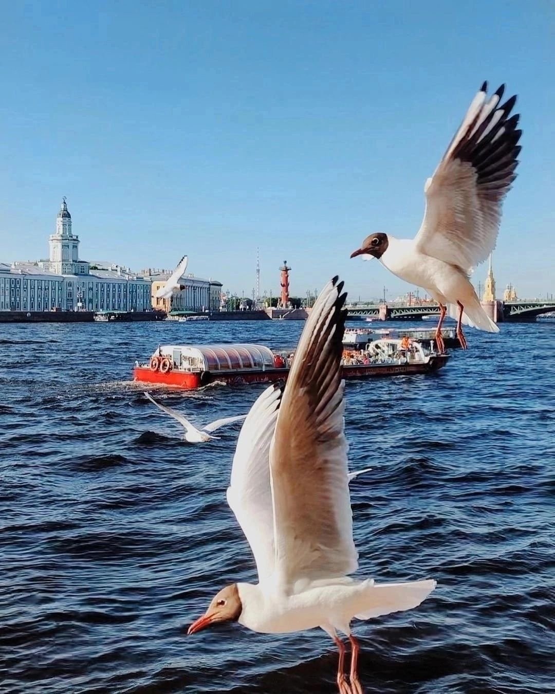 Три в Питере