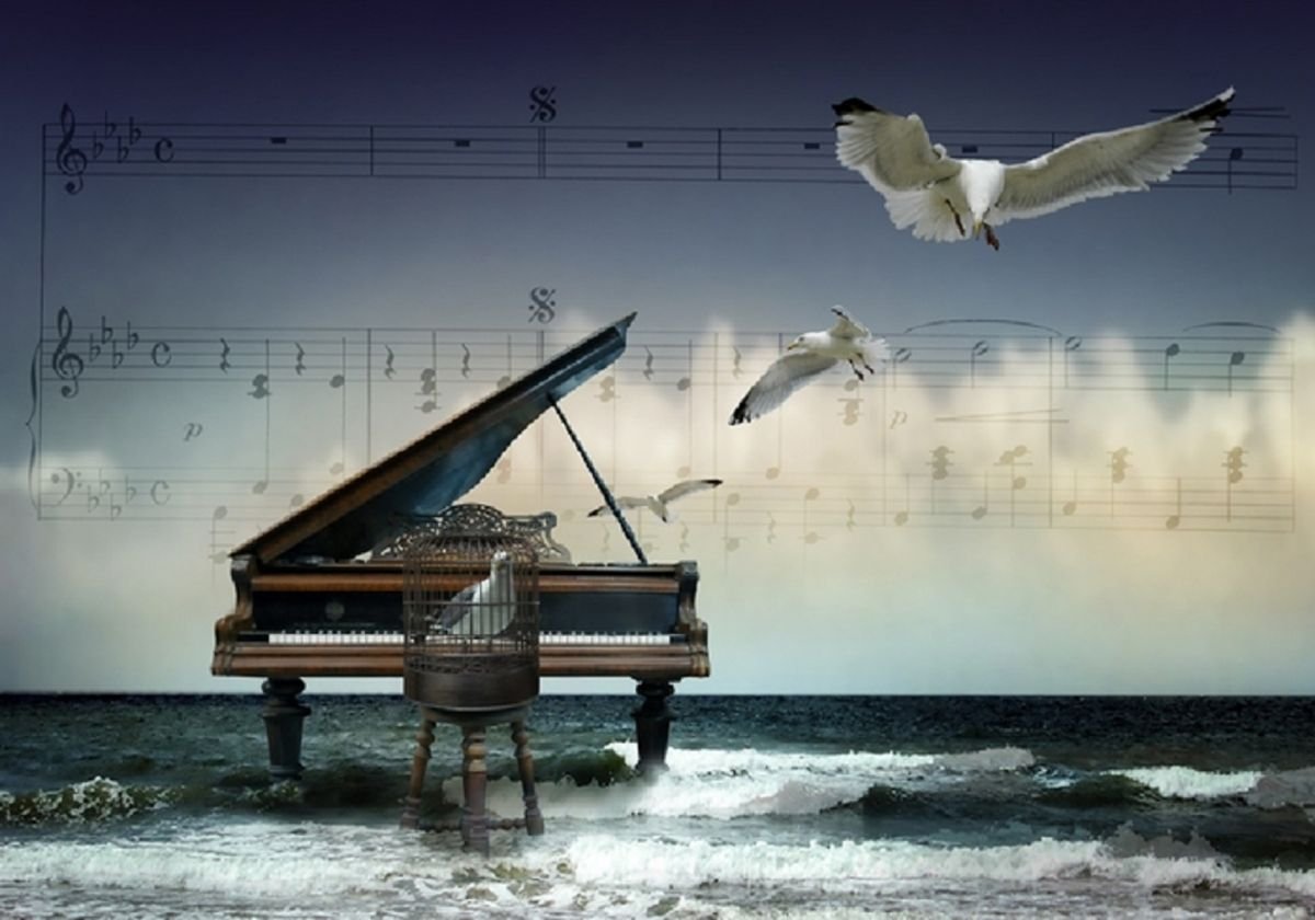 Музыка лети птичка. Рояль и море. Сюрреализм пианино. Пианино на природе. Музыкальный пейзаж.