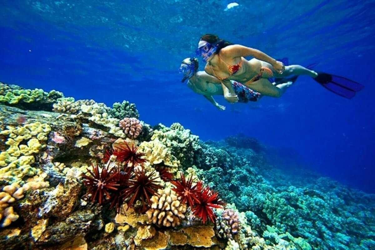 Снорклинг Шарм Эль Шейх