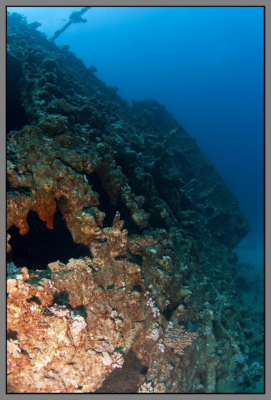 Красное море глубина