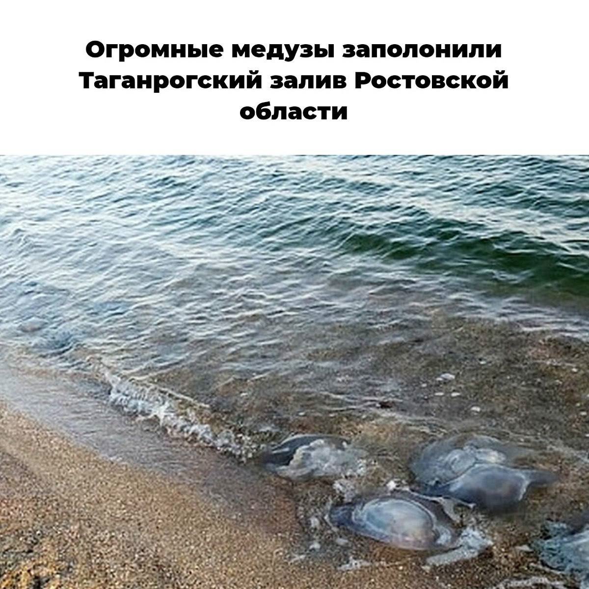 Сообщение об чёрном море и Азовском