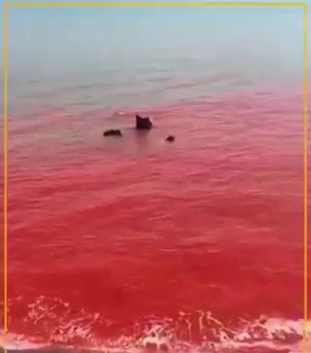 Кроваво красное море