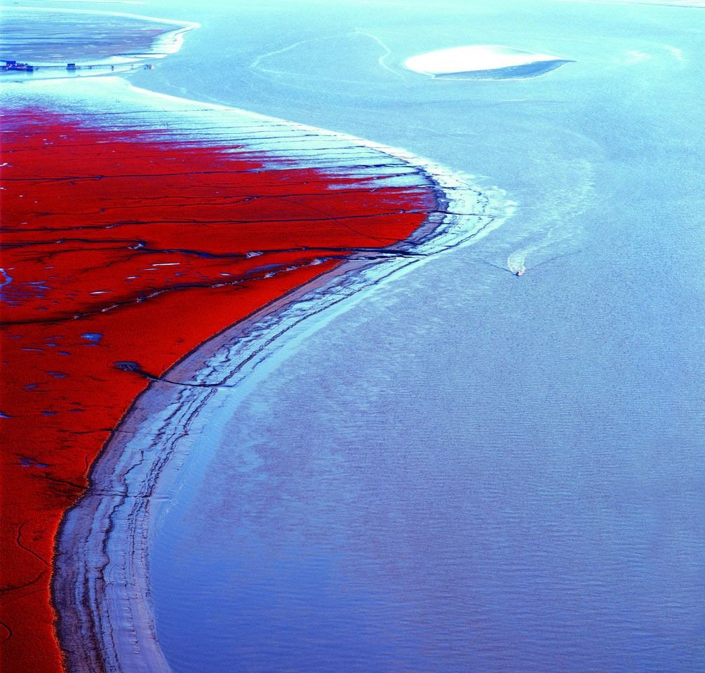 Кроваво красное море