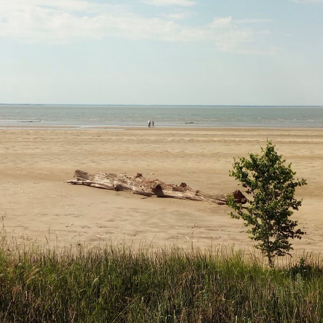 Левый берег Обского водохранилища