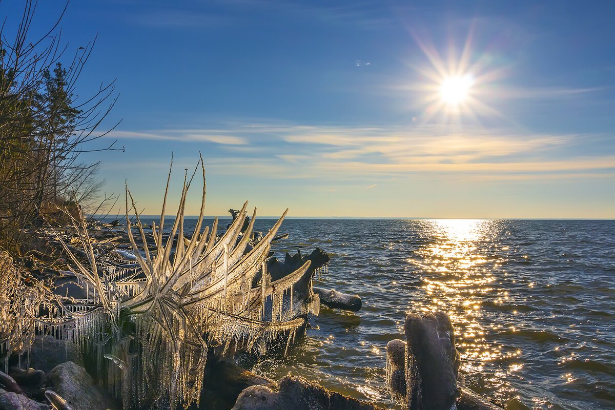 Бердск Обское море зима