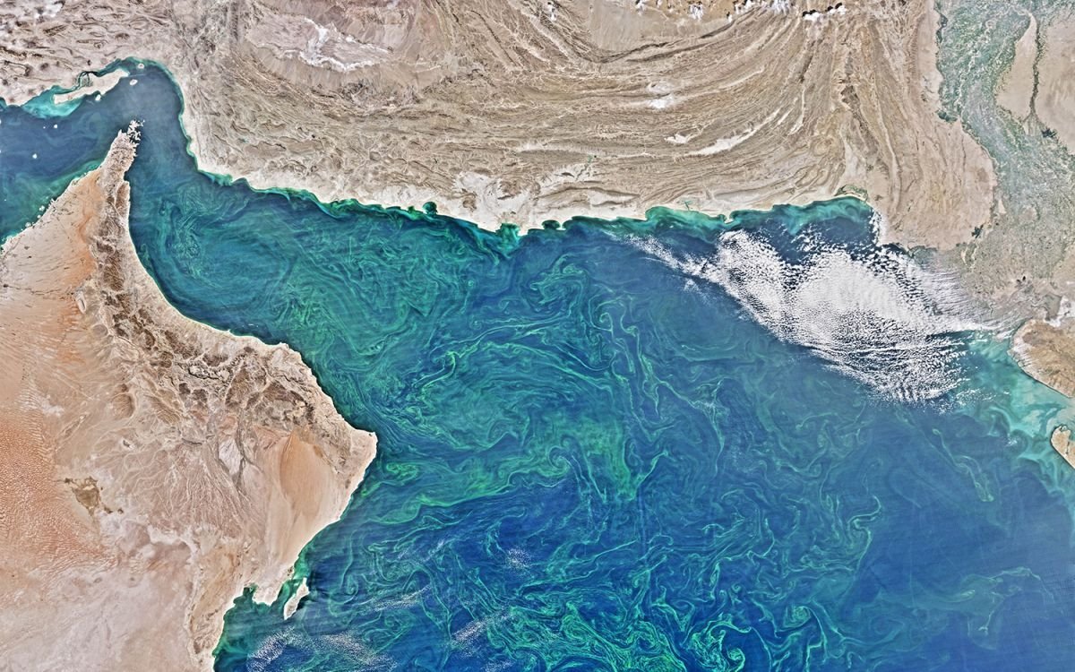 Аравийское море рельеф
